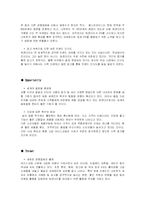 [기업분석] 하겐다즈 기업분석-10