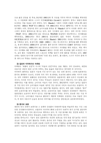 [국제전략] 혼다 HONDA 경영전략-13