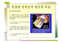 [체동학] 부모님들의 하루 일과의 체동학적 분석-10