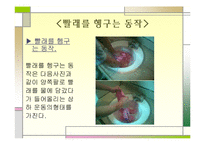 [체동학] 부모님들의 하루 일과의 체동학적 분석-20