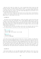 [인터넷언어] 통신언어 언어문화의 문제점과 앞으로의 방향-6