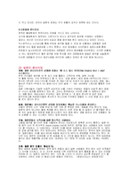 [국제마케팅] sm엔터테인먼트 보아의 일본진출 사례-4