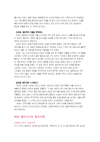 [국제마케팅] sm엔터테인먼트 보아의 일본진출 사례-10