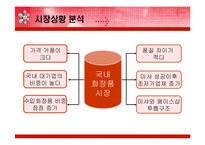 [광고효과분석] 미샤 브랜드 아이덴티티와 커뮤니케이션전략 수립-2