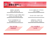 [광고효과분석] 미샤 브랜드 아이덴티티와 커뮤니케이션전략 수립-5
