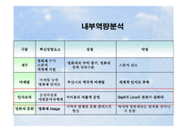 부산국제영화제 조직구조-17