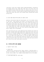 [전자거래법] 사이버스페이스에서의 음란물의 규제와 그 문제점-3