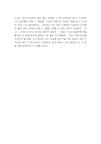 돈키호테 독후감,서평 - 돈키호테 줄거리 요약과 내가 생각한 돈키호테라는 인물분석과 돈키호테를 읽은 후 변화한 나의 태도나 관점-6