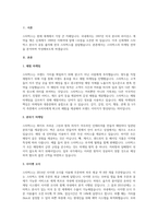 A+특정 기업(제품, 브랜드)을 선정하고 마케팅 전략을 분석하시오-2