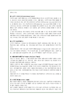 해외직접투자의 특징과 사례분석-19