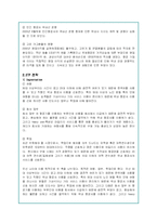 아시아나 항공의 기업분석 및 글로벌마케팅 전략-7