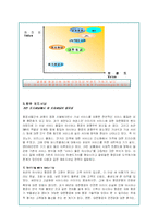 아시아나 항공의 기업분석 및 글로벌마케팅 전략-9
