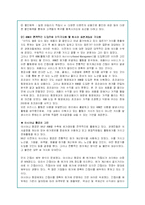 아시아나 항공의 기업분석 및 글로벌마케팅 전략-13