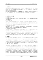 [마케팅전략론]스포츠마케팅에 대한 종합적인 분석-2