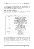 [마케팅전략론]스포츠마케팅에 대한 종합적인 분석-6