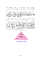 디지털 컨텐츠 유료화 정책과 소비자 문제-10
