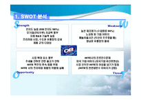 OB(오비)맥주 성공 마케팅 전략 방안-14