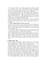 브랜드 국제화를 성공한 기업과 전략-2