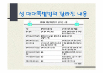 [현대사회의 제문제]성 매매 특별법에 의한 성 매매 여성들의 인권-4
