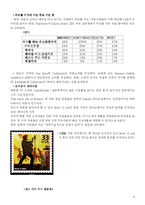 [소비자행동론] 하위문화-9