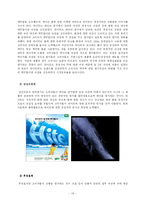 [소비자행동론] 맥주의 소비자 의사결정 과정-16