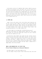 [소비자행동] 13장 교차문화와 세계적 영향-4