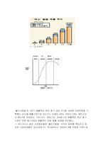 [광고기획제작] 속옷 브랜드 `yes`의 패션내의 sweetlie 광고기획서-8