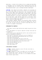 [정보기술] 유비쿼터스와 DMB-9