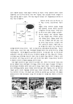 [마케팅관리] 반디앤루니스 마케팅전략-3