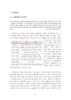 [인터넷비즈니스모델] 위즈위드 WIZWID의 분석과 경쟁우위 전략-8