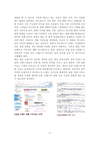 [인터넷비즈니스모델] 위즈위드 WIZWID의 분석과 경쟁우위 전략-12