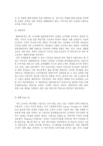 [마케팅] NF 소나타 마케팅 분석-19