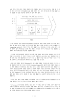[비용우위와 가격경쟁] 기업의 비용우위 경쟁 -월마트와 이마트 사례-11
