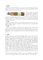 [생산운영관리] 코리아나 한방화장품 자인-17