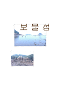 [사업계획서] 레포츠 보물섬 게임-1