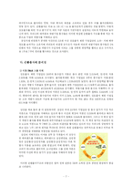 [지배구조] 재벌 지배구조의 문제점과 대안-9