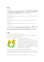 [조직행동이론] 유한킴벌리 경영혁신-6
