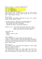 [호텔경영] Marriott International(메리어트) 다중 브랜드적 전략-12