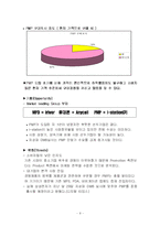 [마케팅] 디지털큐브 아이스테이션 PMP 마케팅전략과 광고전략-8
