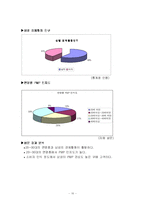 [마케팅] 디지털큐브 아이스테이션 PMP 마케팅전략과 광고전략-10