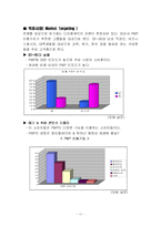 [마케팅] 디지털큐브 아이스테이션 PMP 마케팅전략과 광고전략-11