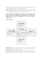 [경영정책] 메트라이프 METLIFE 생명보험의 이슈와 전략 보고서-12