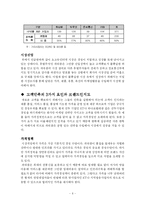 [경영학] 무선인터넷 서비스 시장에 대한 지역방송(케이블) 인터넷서비스 사업자의 대응 방안 분석-7
