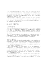 [마케팅] CNN의 성공 매커니즘의 발견-11