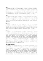 [마케팅] 피자헛 플러스 마케팅-11