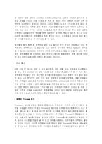 [경영정보시스템] 이레전자의 MIS 분석-12