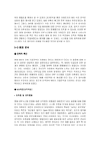 [경영정보시스템] 이레전자의 MIS 분석-16