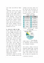 [인터넷비즈니스] 포털산업의 현황과 파란닷컴의 시장점유율 확대전략-7