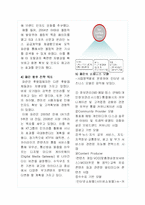 [인터넷비즈니스] 포털산업의 현황과 파란닷컴의 시장점유율 확대전략-12
