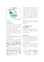 [인터넷비즈니스] 포털산업의 현황과 파란닷컴의 시장점유율 확대전략-14